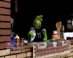 چندجوری های فیتیله - 9